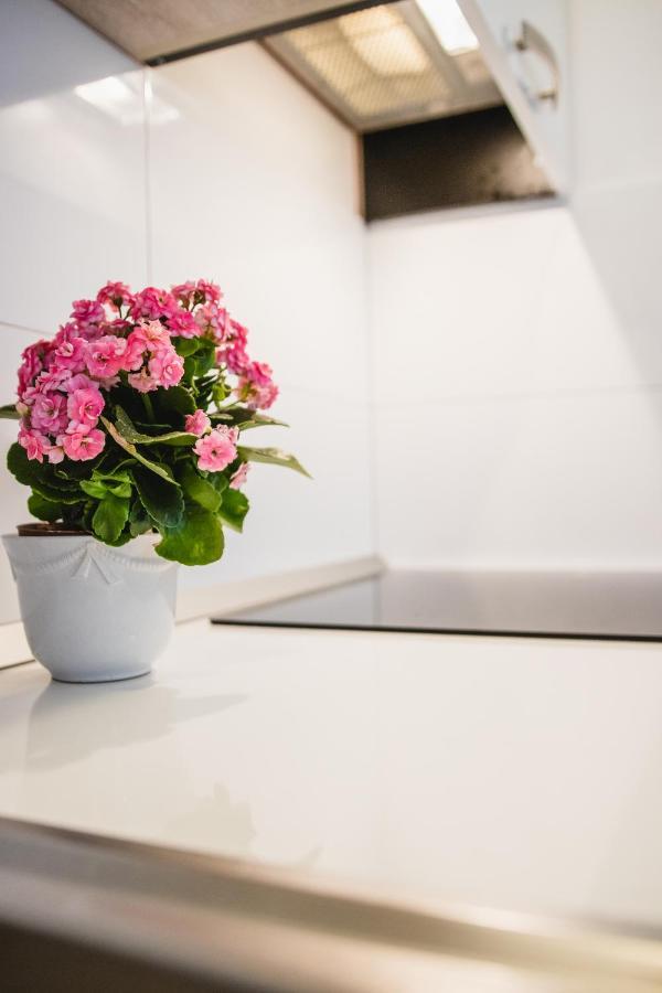Apartmani Tena セルツェ エクステリア 写真